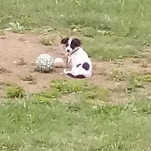 Meet your Posher, Donavan